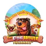 Dog House